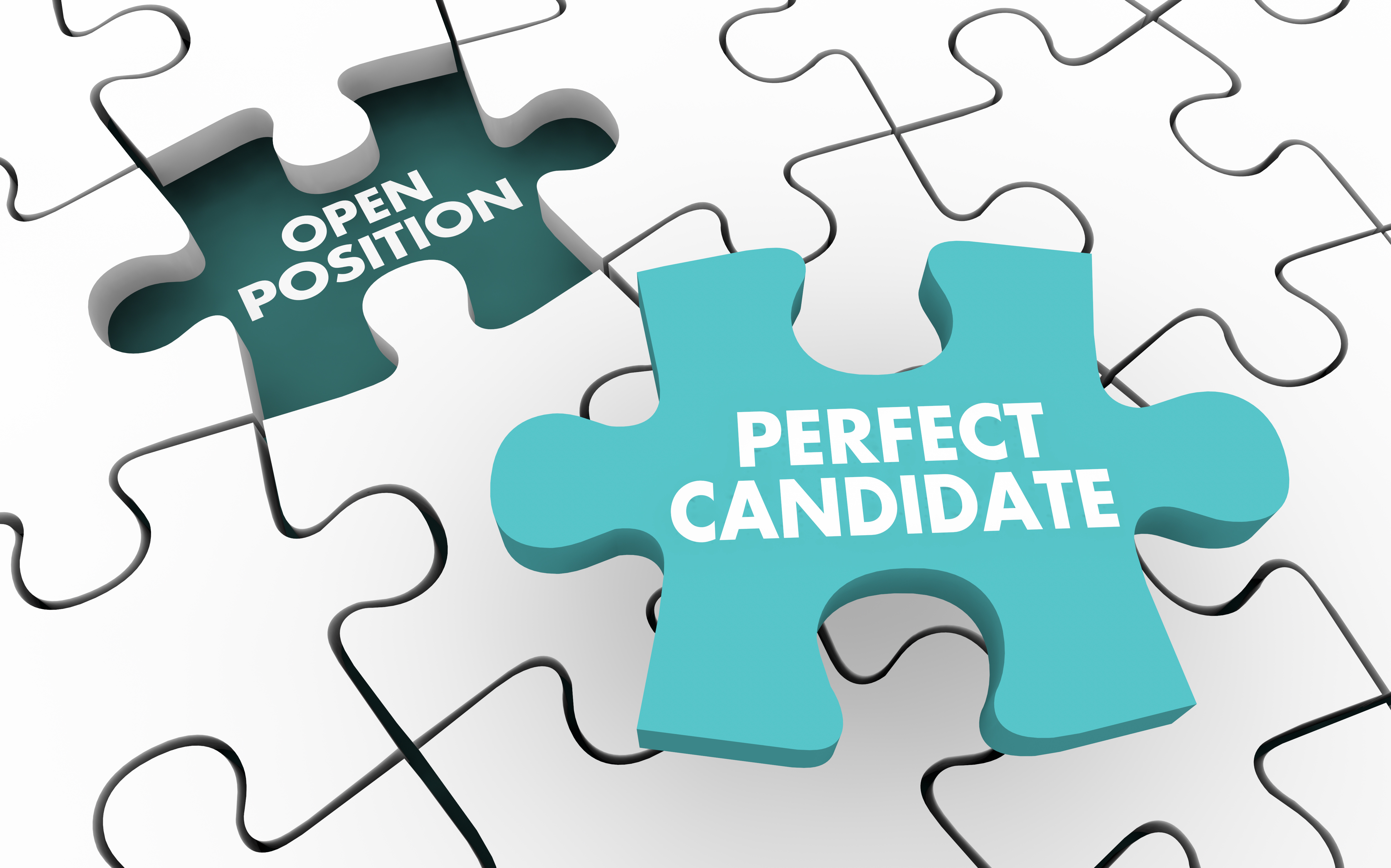 finding the right candidate puzzle